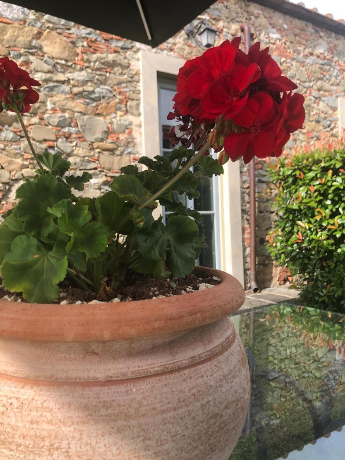 Tenuta Guinigi Antico Borgo Di Matraia - Exclusive Holidays Apartments & Pool ルッカ エクステリア 写真